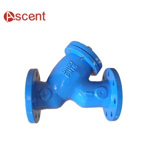 工业级Y型过滤器，带法兰端
